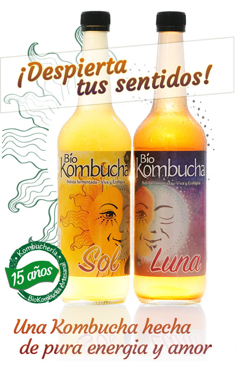 Lunasolkombucha.es